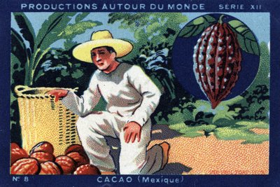 Produktionen rund um die Welt: Kakao in Mexiko. Chromolithographie von 1933 in „Joseph-Milliat Album“ von Anonymous Anonymous