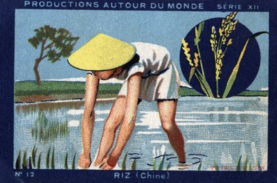 Produktionen rund um die Welt: Reis in China. 1933 Chromolithographie in „Joseph-Milliat Album“ von Anonymous Anonymous