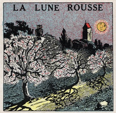 Strahlung und Leitfähigkeit: Der rote Mond, dessen Licht die Blütenknospen verbrennt. Anonyme Illustration von 1925. Private Sammlung. von Anonymous Anonymous