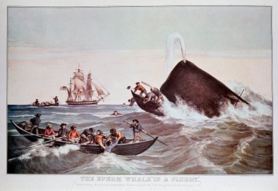 Pottwale im Strudel, kentern kleine Boote. Lithographie aus dem frühen 19. Jahrhundert Private Sammlung von Anonymous Anonymous