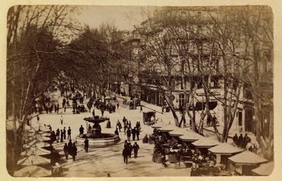 Die Stadt Marseille und ihre Umgebung um 1885-1890: Der Blumenweg, Cours Saint Louis. Private Sammlung von Anonymous Anonymous