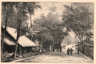 Ansicht einer Straße in Colombo auf Ceylon (Sri Lanka). Gravur in „Les Missions Catholiques au XIXème Siècle“ von Louis-Eugène Louvet. Private Sammlung. von Anonymous Anonymous