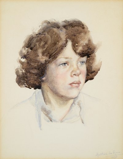 Hugh Boileau, 7 Jahre alt von Anthea Durose