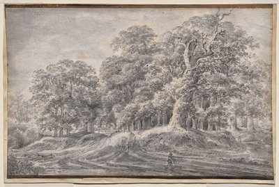 Ein Weg am Waldrand mit einem Bauern, der Schafe trägt von Anthonie Waterloo
