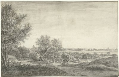 Blick aus den Dünen auf Haarlem mit Ruine des Hauses zu Kleef von Anthonie Waterloo
