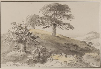 Sussex: In der Nähe von St. Marthas, Albury von Anthony Devis