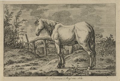 Stehendes Pferd von Anthony Oberman