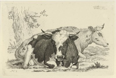 Zwei liegende Kühe vor einem Baum (Studien von Kühen, Schafen und Ziegen) von Anthony Oberman