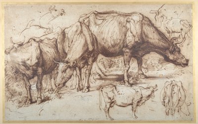 Vieh auf der Weide, ca. 1618-20 von Anthony van Dyck