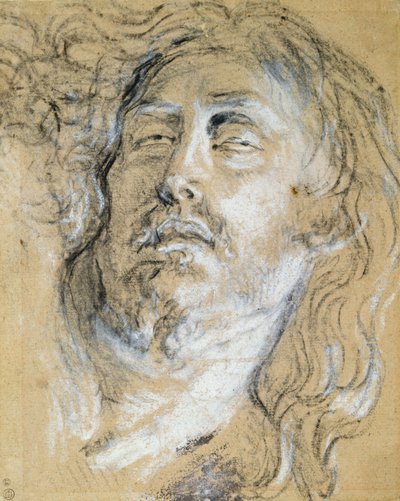 Kopf des toten Christus von Anthony van Dyck