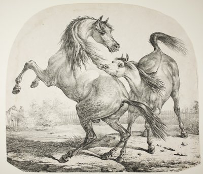 Wilde Pferde kämpfen, ca. 1820 von Antoine Charles Horace Vernet