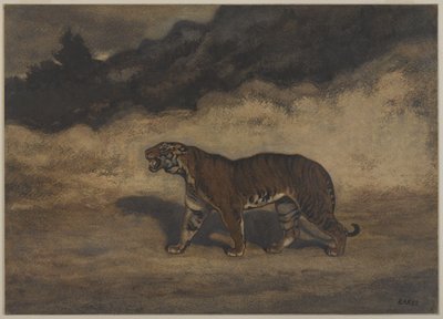 Tiger, der nach links geht von Antoine Louis Barye