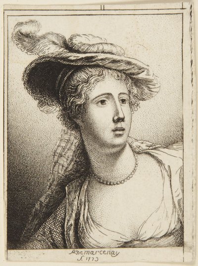 Das Erstaunen von Antoine de Marcenay de Ghuy