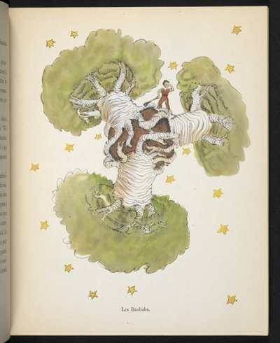 Die Baobabs, Illustration aus 