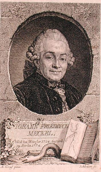 Porträt von Johann Friedrich Meckel (1724-76), graviert von John Schleuen von Anton (after) Graff