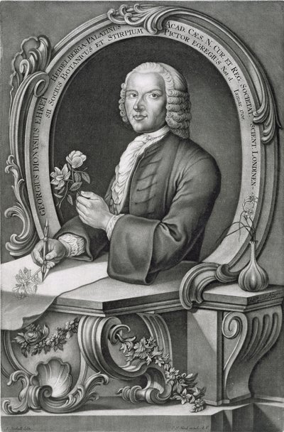 Porträt von Georg Dionysius Ehret (1710-70), graviert von Johann Jakob Haid (1704-67) von Anton Heckel