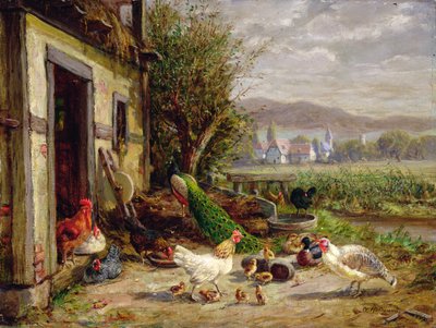 Hühner, Enten und ein Pfau an einem Kanal von Anton Hoffmann