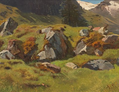 Studie von Felsen bei Ferleiten von Anton Schrodl