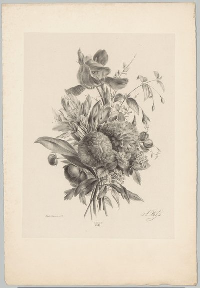 Nelken und Lilien von Anton Weiss