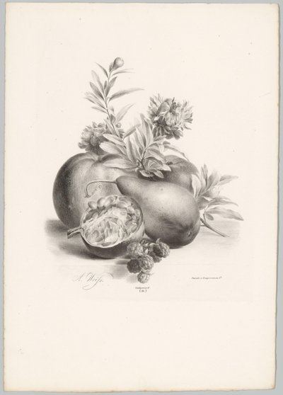 Blumen, Äpfel, Birne, Granatapfel und Brombeeren von Anton Weiss