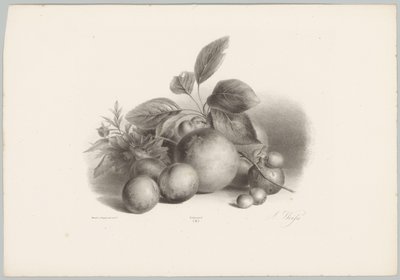 Blumen, Nektarinen und Haselnüsse von Anton Weiss