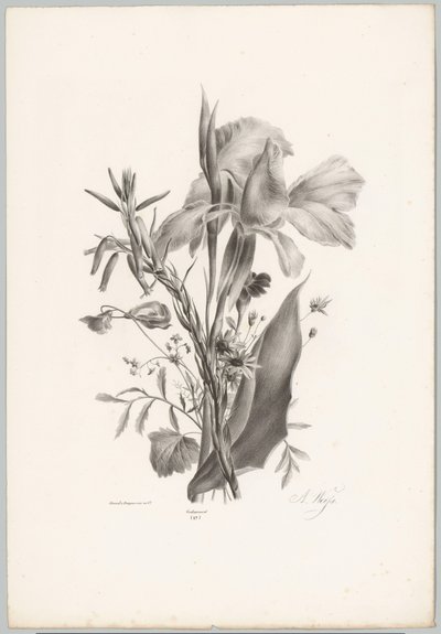 Diverse Blumen von Anton Weiss