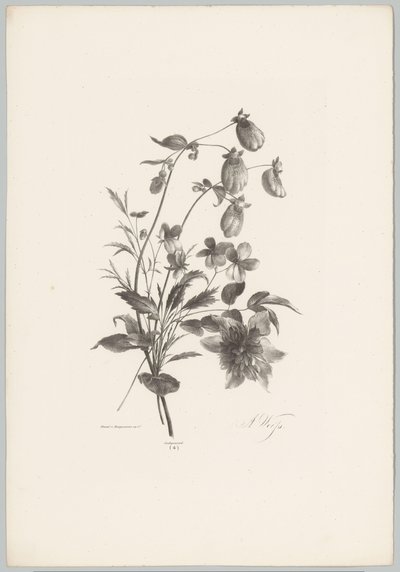 Verschiedene Blumen von Anton Weiss