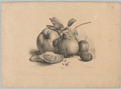 Früchte, Pflaumen und Austern (Blumen- und Fruchtstudien, 10. Folge) von Anton Weiss