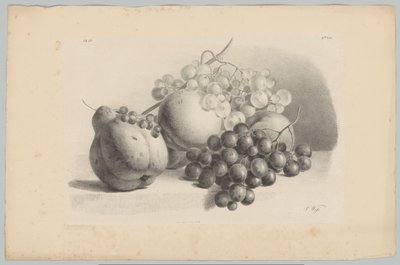 Kürbis, Beeren, Trauben und Pfirsiche von Anton Weiss