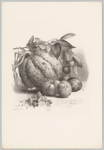 Kürbis, Tomaten und Kirschen von Anton Weiss