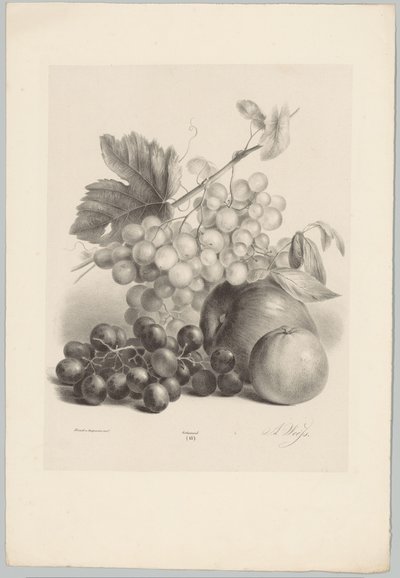 Rote und weiße Trauben und Äpfel von Anton Weiss