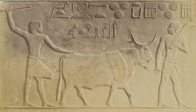 Heiliger Stier in Saqqara von Antonio Beato