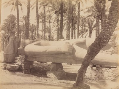 Statue von Ramses in Saqqara, ca. 1870er-1880er von Antonio Beato
