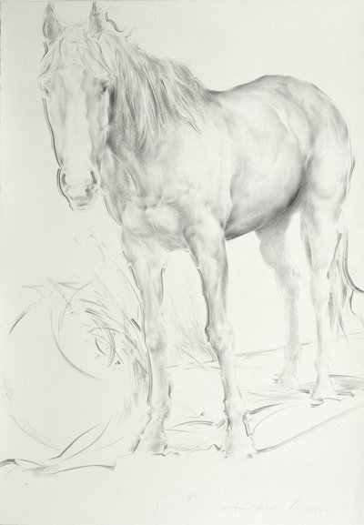 Pferd bei Coolmore, 1990 von Antonio Ciccone