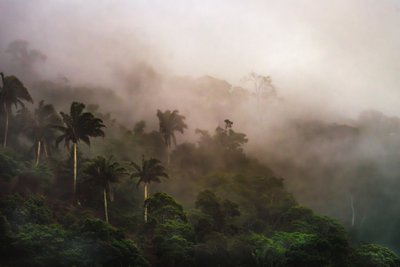 Corcovado XIX, 2020 von Antonio Schubert