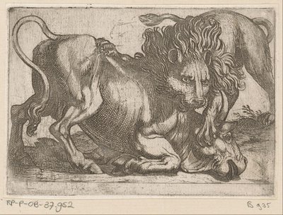 Ein Löwe greift einen Stier an von Antonio Tempesta
