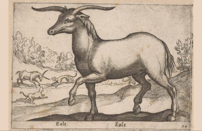 Pferd mit Hörnern von Antonio Tempesta