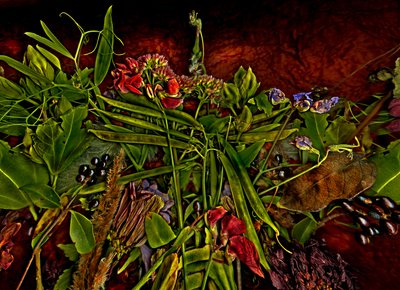 Stillleben m 3, 2014 von Antonius Antonius