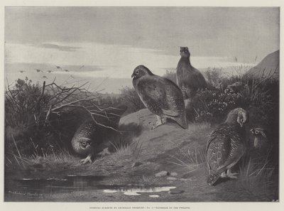 Sportliche Themen, Morgengrauen am Zwölften von Archibald Thorburn