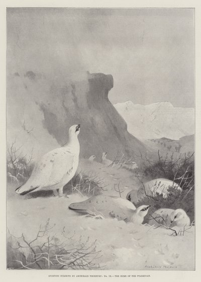 Sportliche Motive, das Zuhause des Schneehuhns von Archibald Thorburn