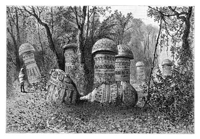 Ruinen eines Ahom-Tempels, Dinajpur, Oberassam, Indien, 1895 von Armand Kohl