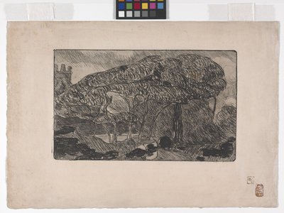 Der Sturm von Armand Séguin