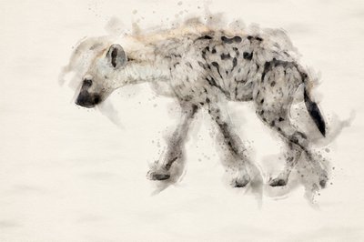 Gefleckte Hyäne Aquarell von Arno Du Toit