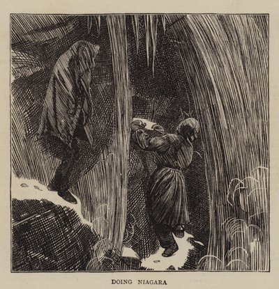 Niagara erleben von Arthur Boyd Houghton