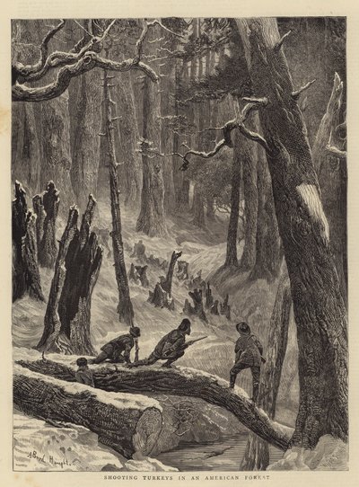 Truthahnjagd in einem amerikanischen Wald von Arthur Boyd Houghton