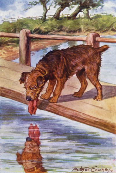 Äsops Fabeln: Der Hund und der Schatten von Arthur Claude Cooke