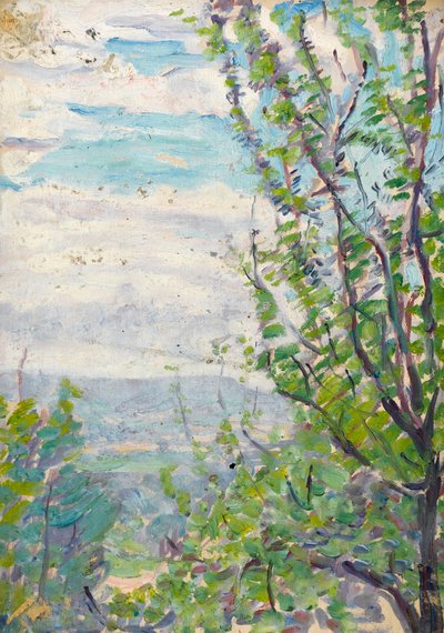 Blauer Himmel und Wolken mit Obstbaumzweigen im Vordergrund von Arthur Haythorne Studd