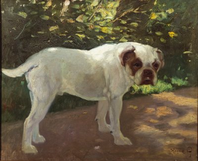 Ein Bulldogge auf einem Gartenweg von Arthur Heyer
