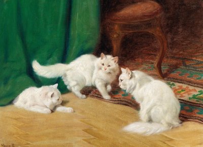 Gespräch unter Katzen von Arthur Heyer