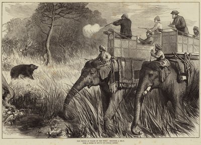 Der Prinz von Wales im Terai, schießt einen Bären von Arthur Hopkins